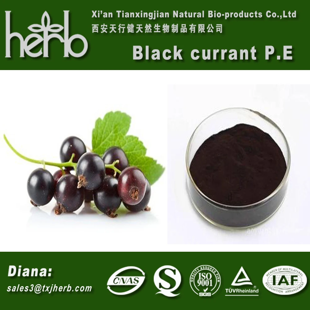 e. / ribes nigrum l./black currant