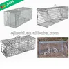 16"x5"x5" Galvanized Collapsible Live Animal Trap