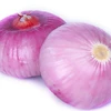 /product-detail/organic-onion-granule-red-onion-powder-60788956757.html