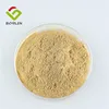 Natural Korean Red Ginseng Extract 80% Ginsenosides for Soft Drink Additives