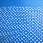 Square Plastic Mesh/extruded Plastic Mesh/netting/plastic Plain Net/fence/screen