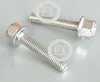 stainless steel Hex Flange Bolt