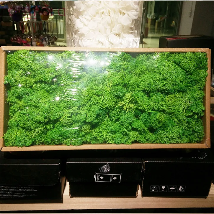 gifts & crafts  moss  real natural preserved moss  138 result