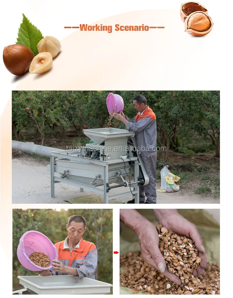 almond sheller 8