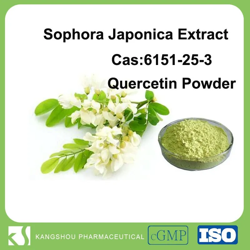 high quality relive cough fructus sophora japonica extract