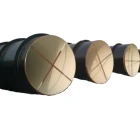 ASTM A53 /API 5L GR.B/X42/X65/X70 PSL1 PSL 2 Coal Tar Epoxy Paint Carbon Steel SAW Spiral Welded Pipe