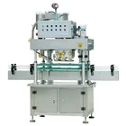 hot sale automatic plastic bottle filling capping machine
