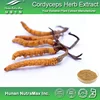 /product-detail/cordyceps-p-e-cordyceps-sinensis-p-e-chinese-caterpillar-fungus-p-e--60100975763.html