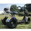 /product-detail/best-price-electric-scooter-1200w-citycoco-three-fat-wheel-electric-electric-tricycle-60767143454.html