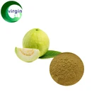 Supply 100% Natural Guava Fruit Powder, Guava Fruit Extract