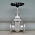 DN100 Flanged Gate Valve Cast Iron JIS10K