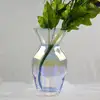 Home decoration transparent crystal glass vase