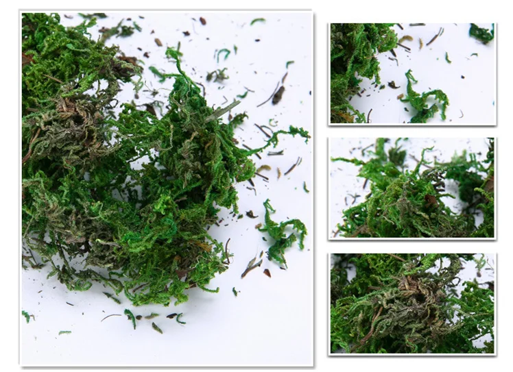 2908795372_136763060