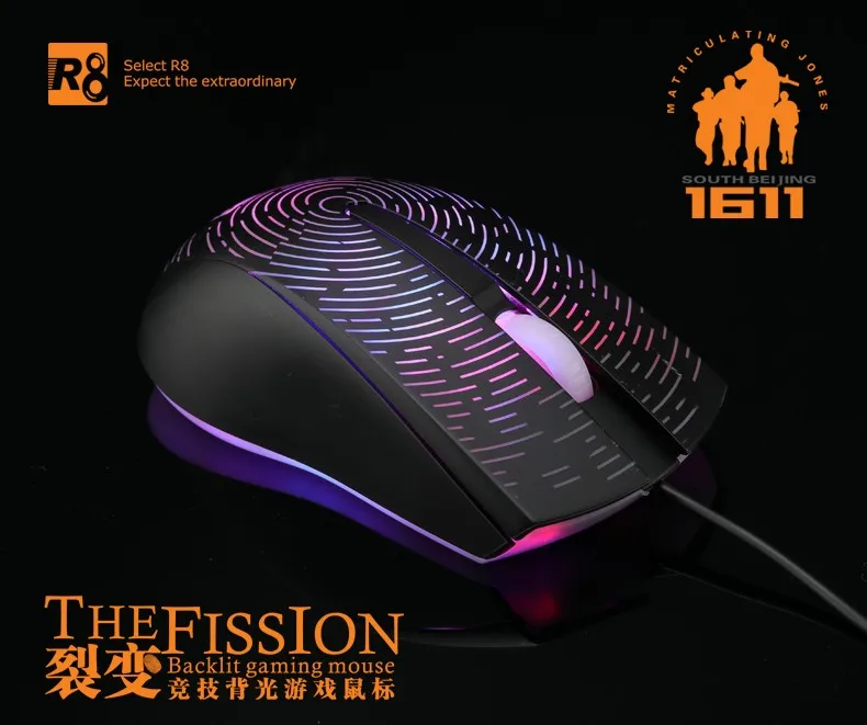 R8 161103.jpg