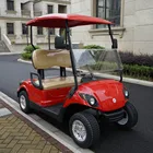2018 hot sale 2 seater mini electric or gas powered golf cart with competitive prices for sale
