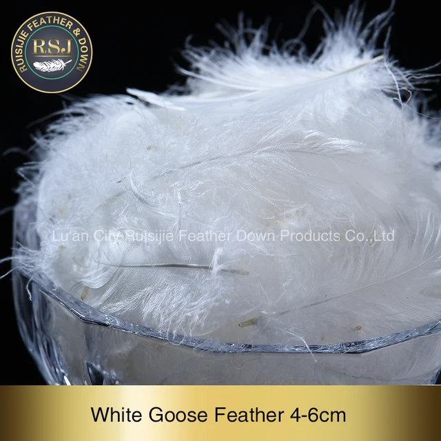 duck goose feather down