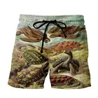 Customized To Quality Board Shorts Plus Size Women's Swimwear Girls 0 Women