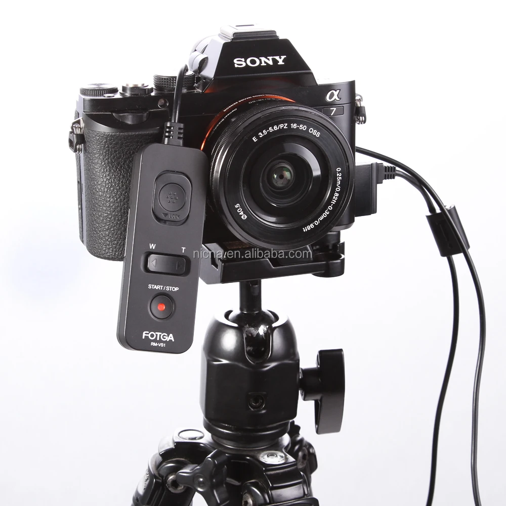 hong kong shutter release