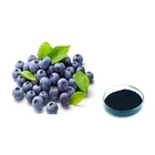 ISO Certificated 100% Natural Blueberry Extract Powder Anthocyanosides 25%/Anthocyanosides 36%