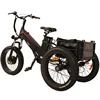 /product-detail/250w-fat-tire-three-wheel-tri-food-pizza-transport-delivery-e-trike-electric-cargo-bike-for-elderly-60868978443.html