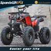 Huter ATV 250cc, 200cc, 150cc Hot Selling Quad Bike UTV with Huge ATV Tyre