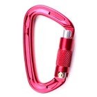 Heavy Duty Custom Locking D Shaped 22KN Climbing Aluminum 4 Inch Carabiner