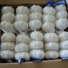 Supply New Crop Fresh Garlic With Good Price