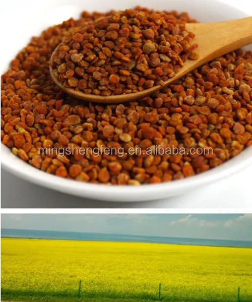 initpintu_.jpg