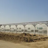 Multi Fountional Plastic Greenhouse For Agriculture