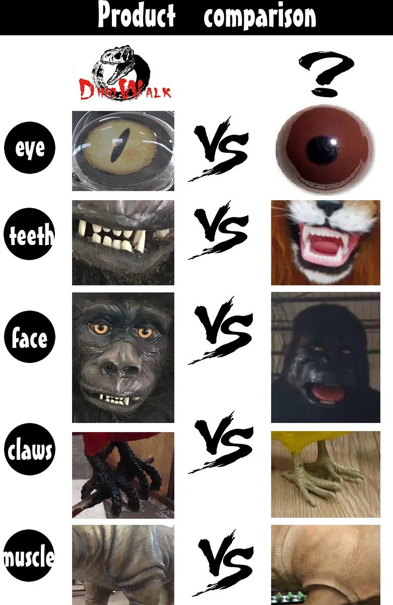 .jpg