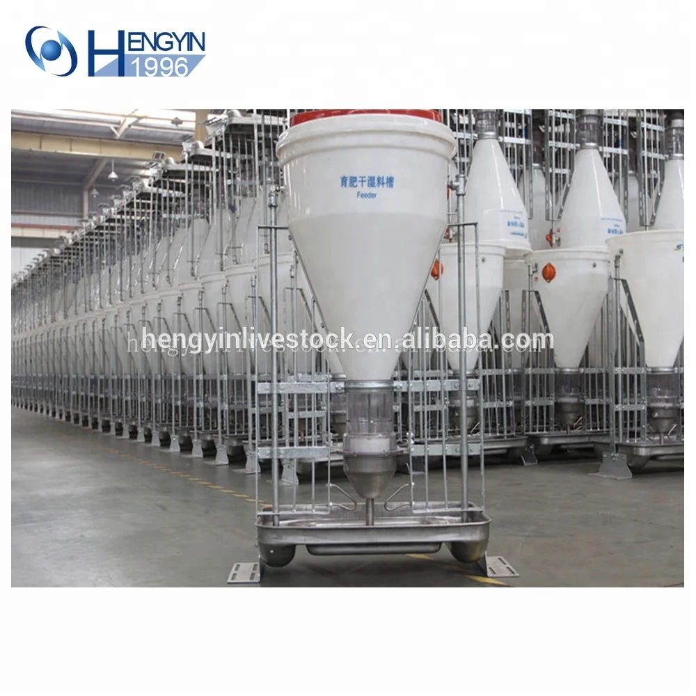 Automatic Feeding System Automatic Pig Feeder Stainless Steel Pig