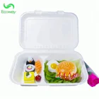 Biodegradable Sugarcane Bagasse 2 Compartment Bento Disposable Take Away Lunch Box Food Container