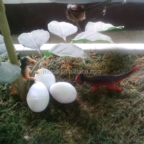 dinasour egg grow expand in water growing toy