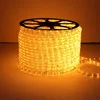 2-Wire LED Heavy Duty Bright Warm White Rope Light for christmas decoration