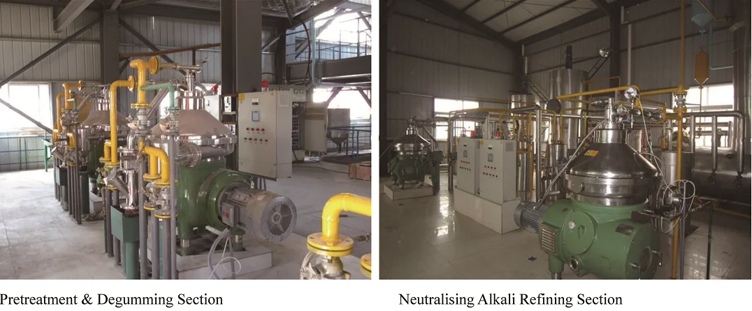 Stainless steel available vegetable oil refinery equipment soybean oil modular refinery