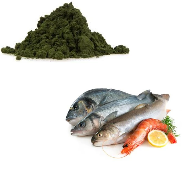 E Spirulina A 3.jpg