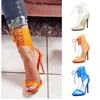 /product-detail/hot-sale-latest-ladies-lace-up-sandals-popular-sexy-woman-transparent-pvc-high-heel-clear-jelly-sandals-62212204876.html
