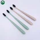 Eco friendly hotel tooth brush wheat straw handle material disposable toothbrush