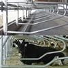 /product-detail/cow-free-stall-dairy-farm-equipment-1848546461.html