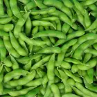 frozen green soybeans frozen peeled edamame without pods