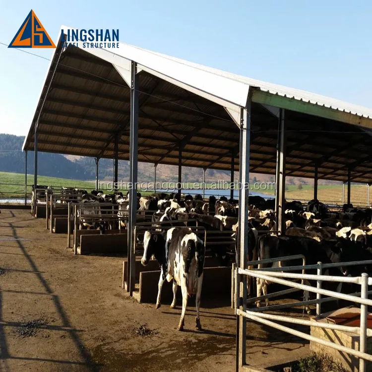 China Low Cost Steel Structure Cow Barn House Farm Building Design