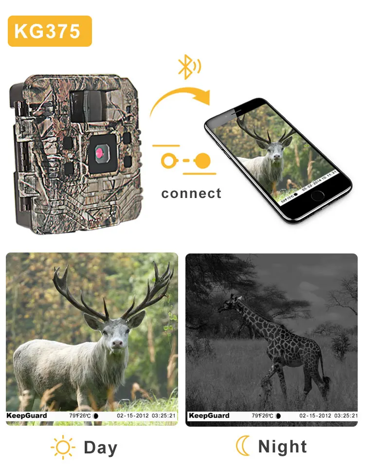 Compact design Basic wildlife nature app hunting trail video camera