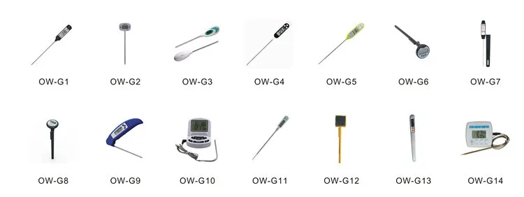 digital bbq  food thermometer.JPG