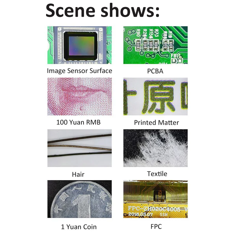 Scene shows.jpg