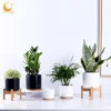 Hot sale high quality cylinder shape ceramic succulent flower plant pots with wood stand