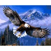 CHENISTORY DZ1627 Paint By Numbers For Adult Diy Eagle On Canvas No Frame