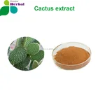 100%天然hoodiaサボテンエキス、opuntia dilleniiサンザシ、opuntiaイチジク-インディカ