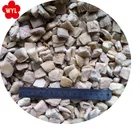 2017 new crop Frozen oyster mushroom price