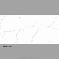 2017 TITU Full Glazed Polished Big