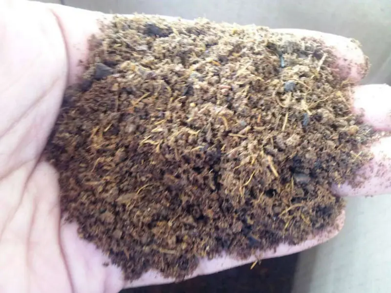 Palm Cake Animal Feed